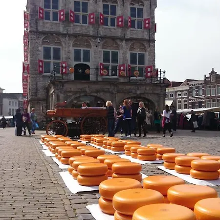 Anna Aan De Motte Feriehus Gouda